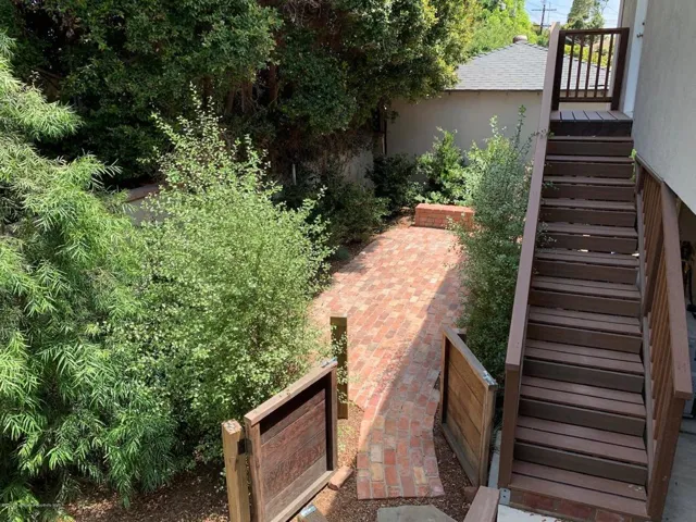 backyard 1
