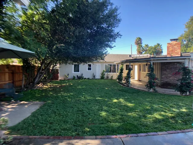 Backyard 6