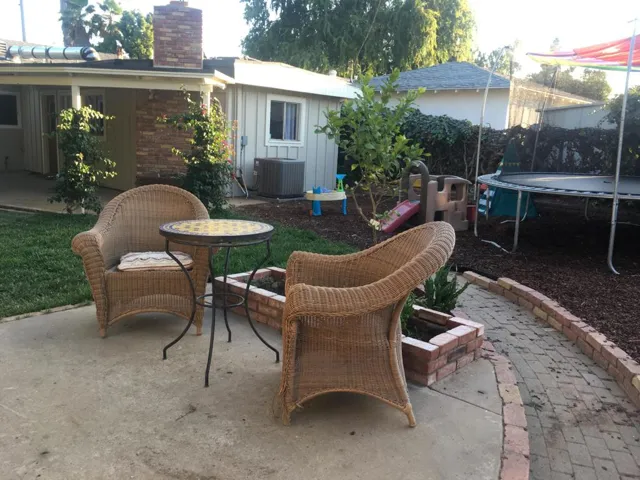 Backyard 2
