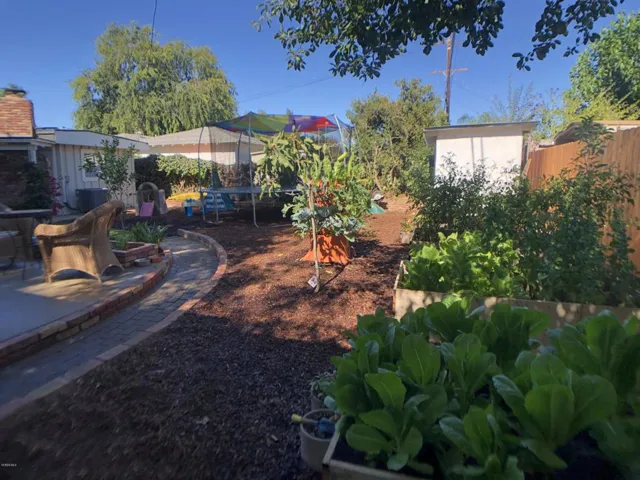 Backyard 3