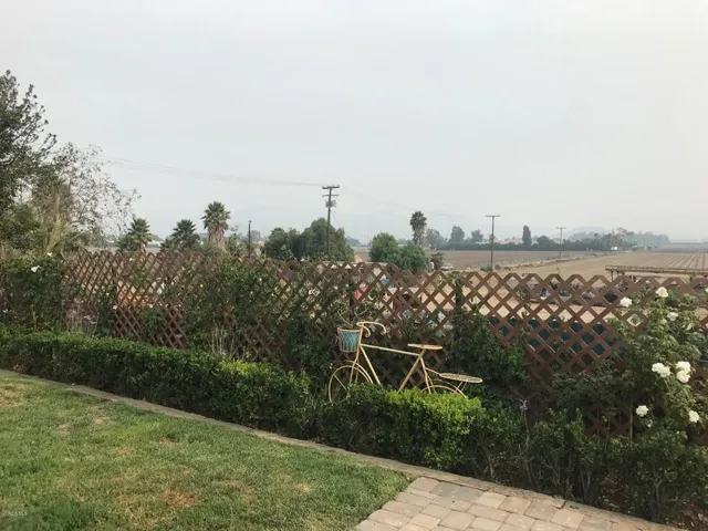 orchard view