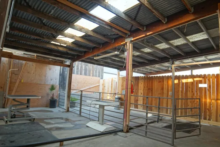 back patio