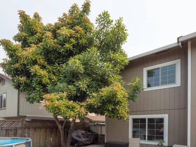 3607 Paper Mill Road, Soquel, California 95073