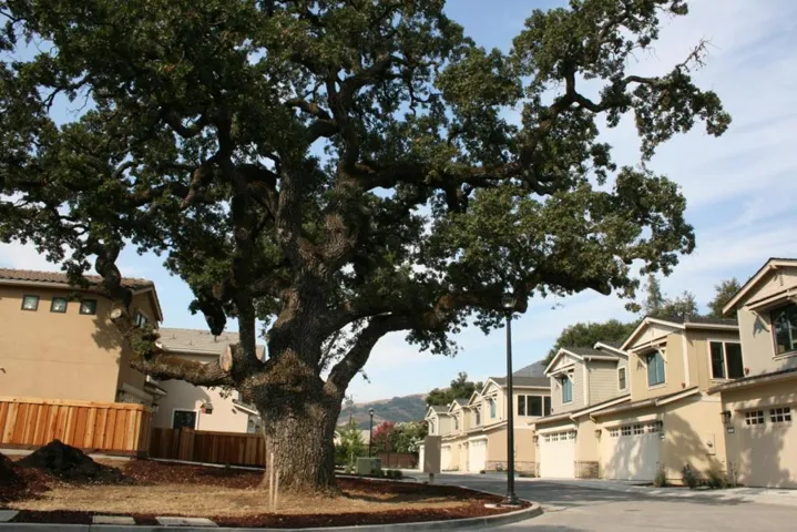 29 W Dunne Avenue, Morgan Hill, California 95037
