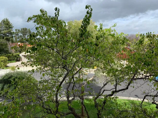 440 Cesano Court 208, Palo Alto, California 94306