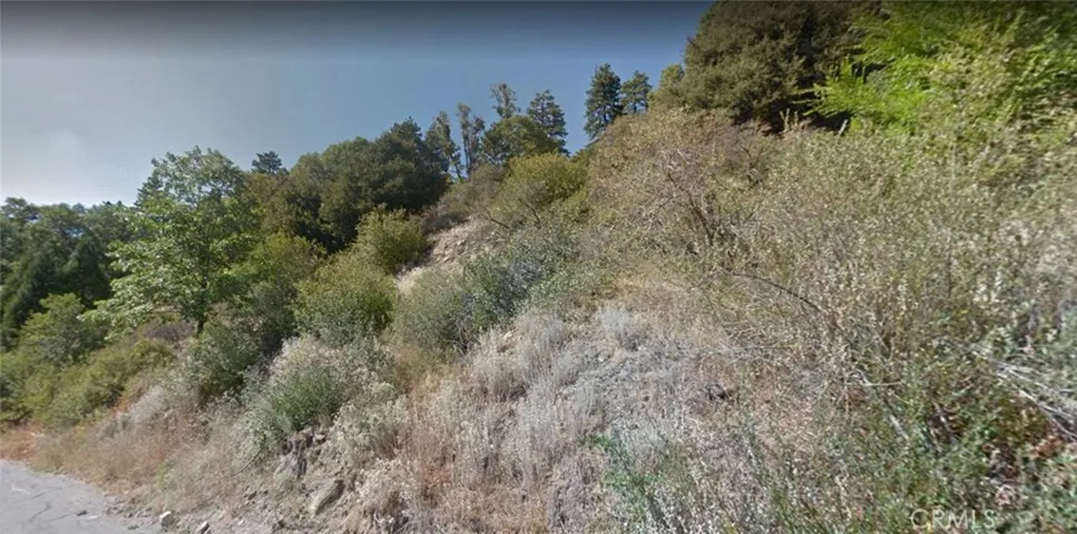 0 Briarwood Lane, Crestline, California 92325
