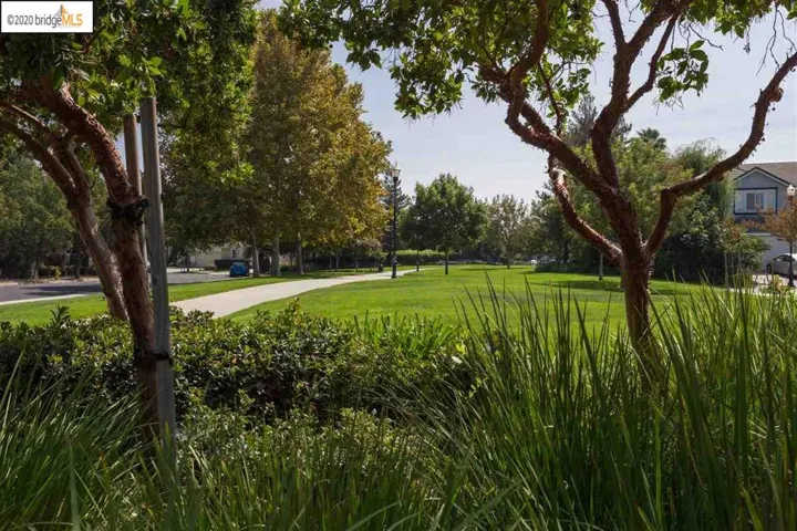 1381 Sunflower Ln, Brentwood, California 94513