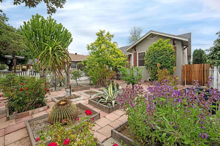 Front Yard