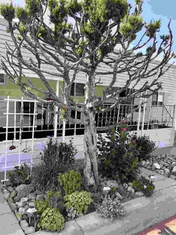 8301 Mission Gorge Rd 339, Santee, California 92071