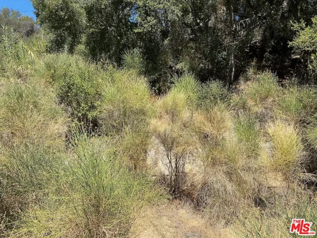 47 Topanga Canyon Blvd