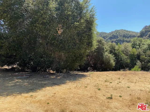  Topanga Canyon Blvd