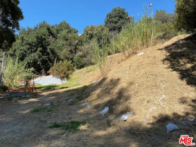 47 Topanga Canyon Blvd