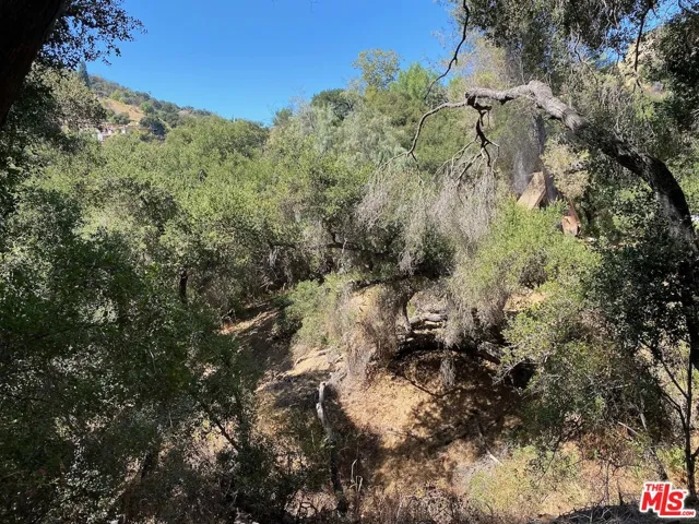 47 Topanga Canyon Blvd