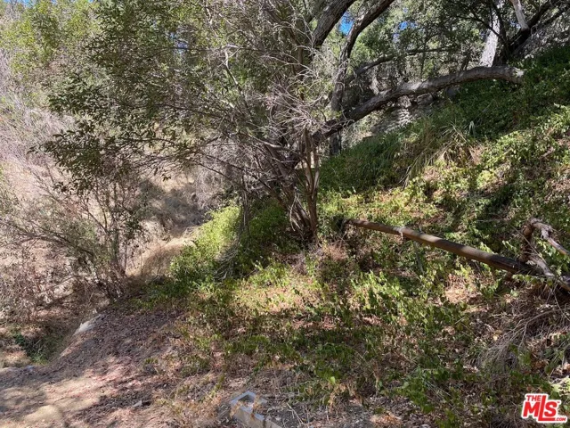 47 Topanga Canyon Blvd