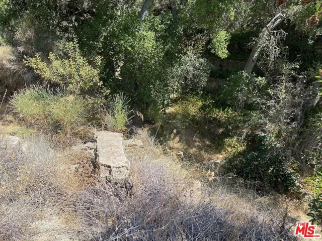47 Topanga Canyon Blvd