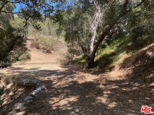 47 Topanga Canyon Blvd