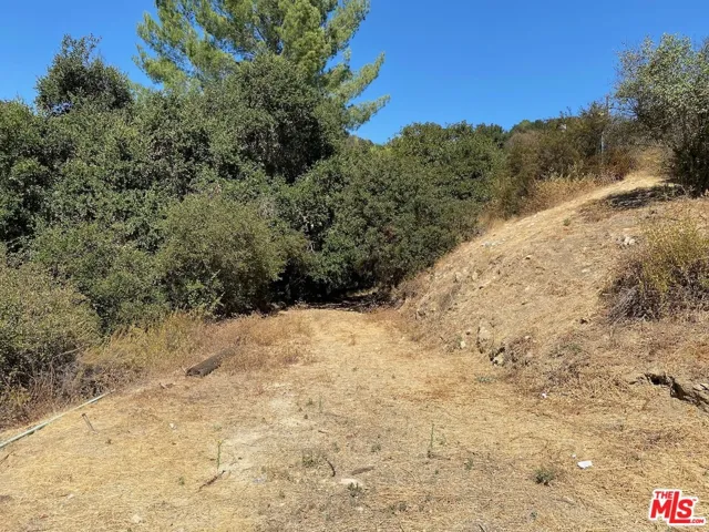 47 Topanga Canyon Blvd