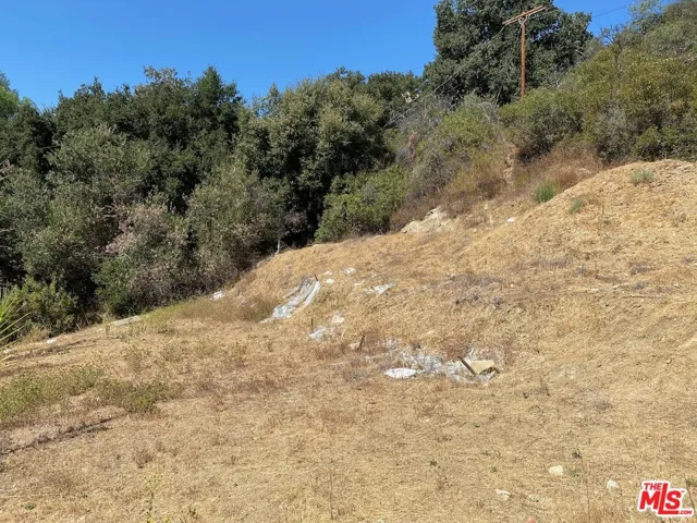47 Topanga Canyon Blvd