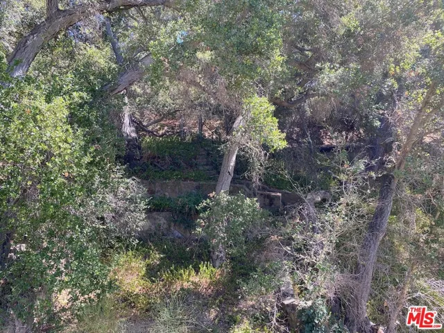 47 Topanga Canyon Blvd