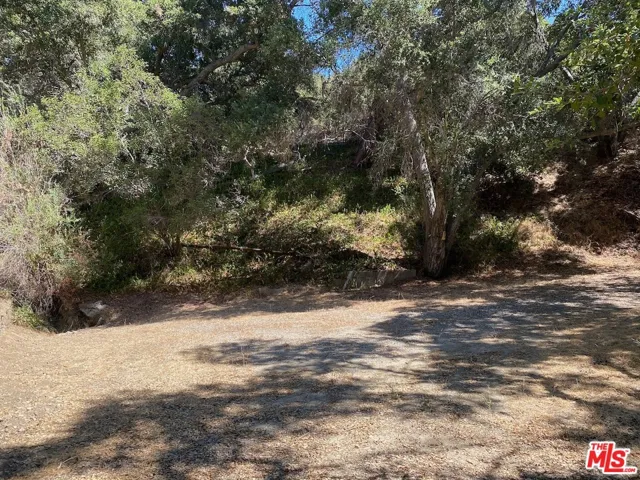 47 Topanga Canyon Blvd
