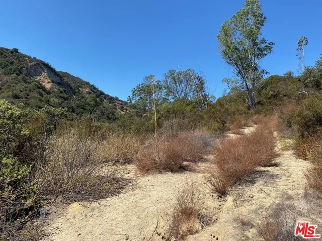  Topanga Canyon Blvd