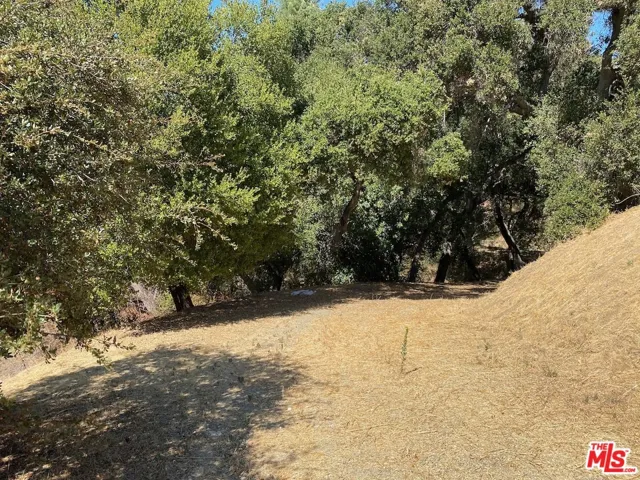 47 Topanga Canyon Blvd