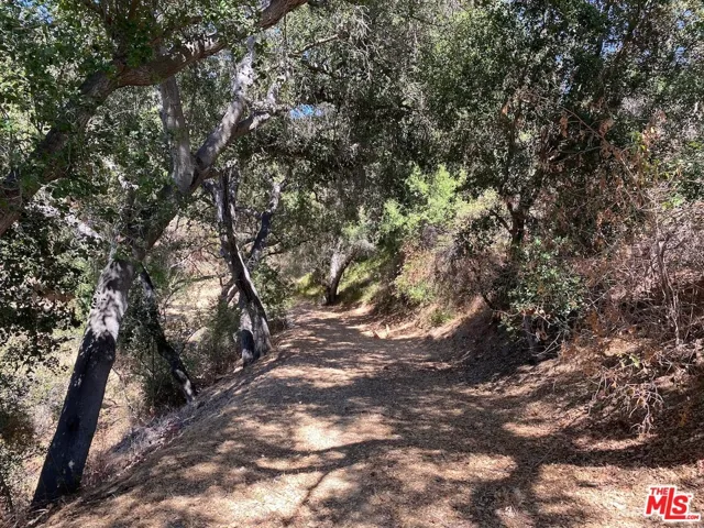 47 Topanga Canyon Blvd