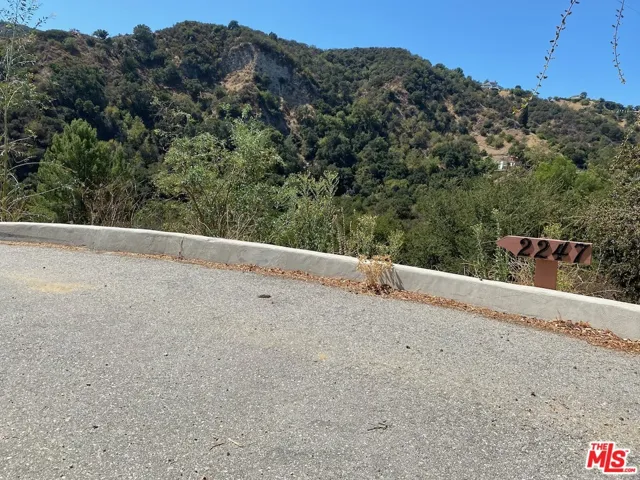 Driveway to lots