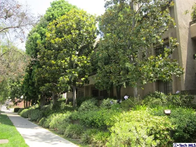 Primary Photo
