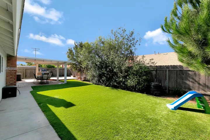 Back yard