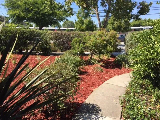 428 E Charleston Road, Palo Alto, California 94306