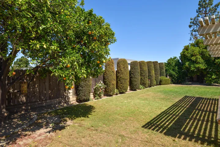 Nicely Landscaped Yard