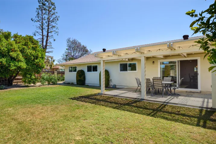 Spacious Backyard