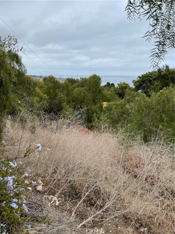 30 Peppertree Drive, Rancho Palos Verdes, California 90275