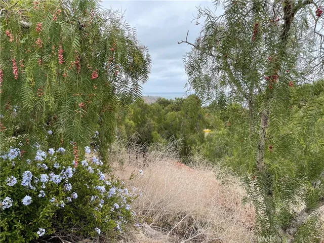 30 Peppertree Drive, Rancho Palos Verdes, California 90275