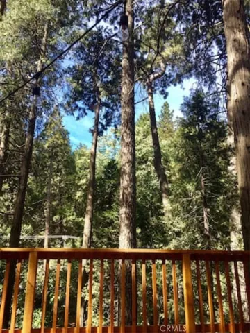 859 Fern Drive, Crestline, California 92325