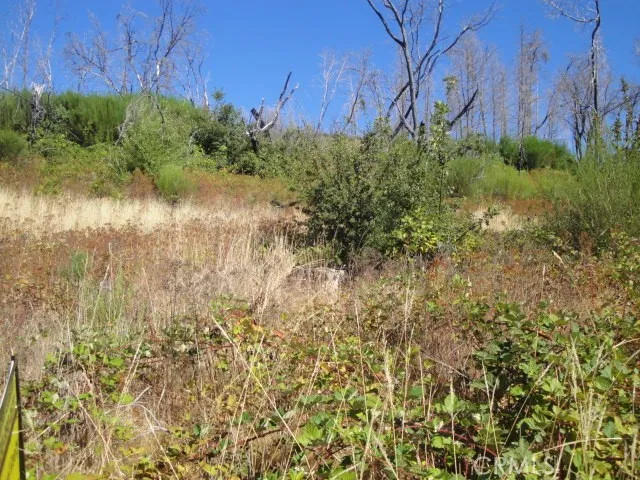 0 Meadow Lane, Berry Creek, California 95916 — photo 4