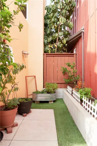 east side of the rear yard w/ small lime tree.