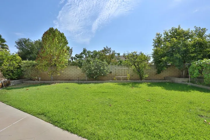 Backyard1