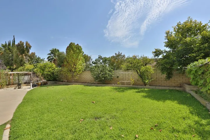 30 Backyard2