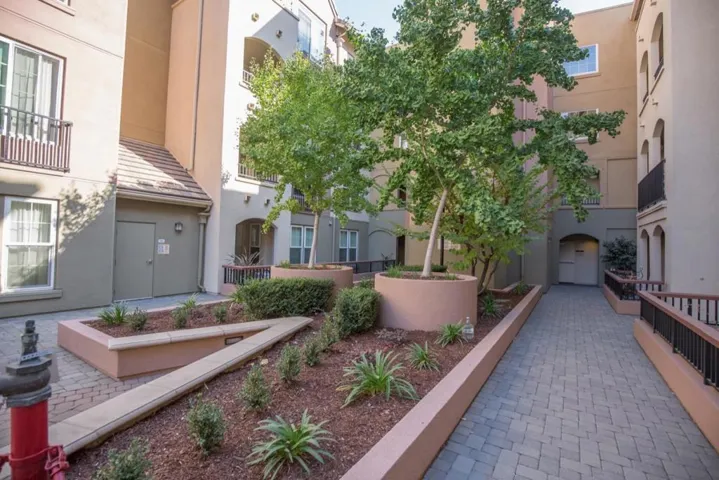 1550 Technology Drive 2005, San Jose, California 95110