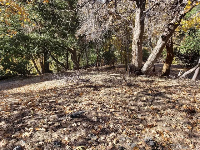0 Evergreen Lane, Lake Arrowhead, California 92352