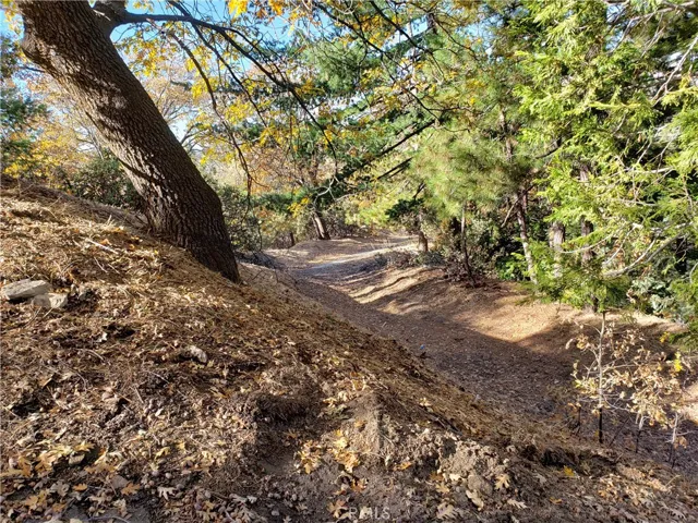 0 Evergreen Lane, Lake Arrowhead, California 92352