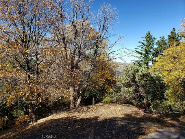 0 Evergreen Lane, Lake Arrowhead, California 92352