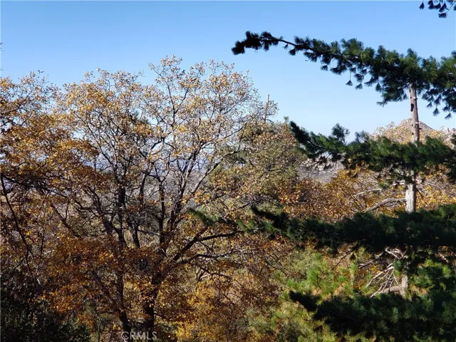0 Evergreen Lane, Lake Arrowhead, California 92352