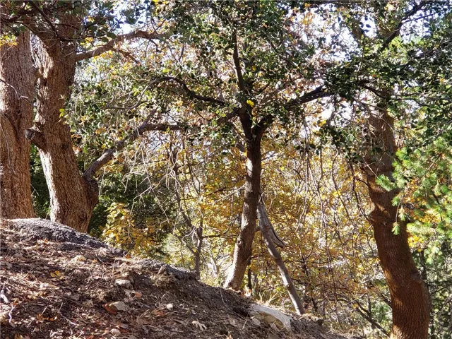 0 Evergreen Lane, Lake Arrowhead, California 92352