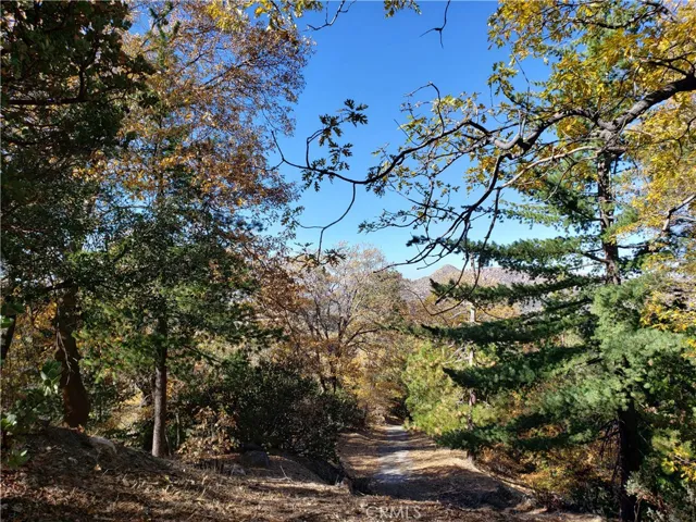 0 Evergreen Lane, Lake Arrowhead, California 92352