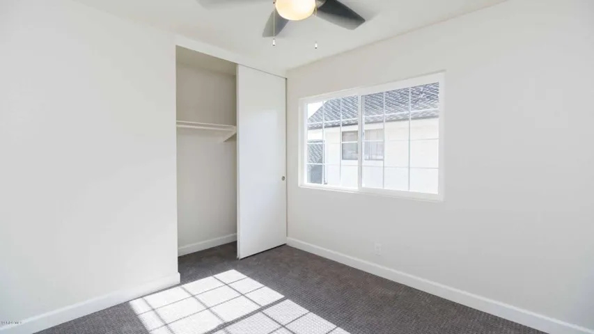Arabian-00510