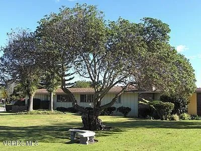 CIMG1368