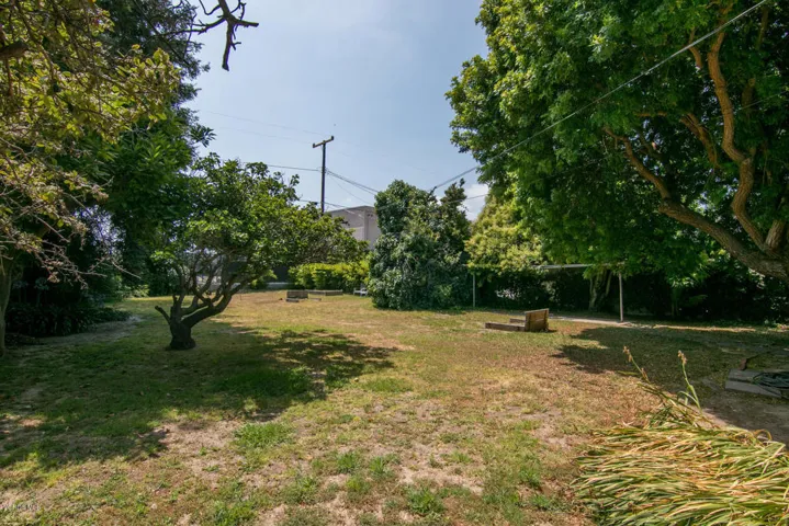 6567 College Dr-MLS_Size-023-17-Back Yar